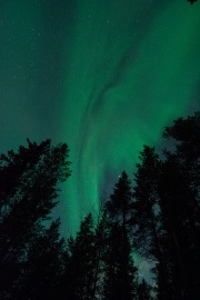 20190211-norway_aurorae100.jpg