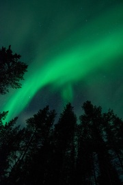 20190211-norway_aurorae104.jpg