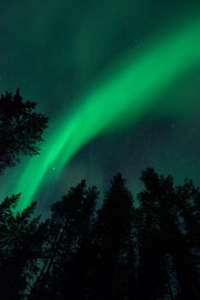 20190211-norway_aurorae105.jpg