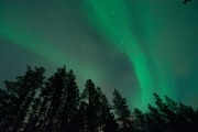 20190211-norway_aurorae120.jpg