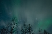 20190211-norway_aurorae27.jpg
