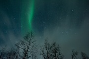 20190211-norway_aurorae30.jpg