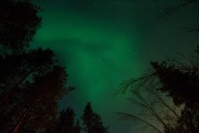 20190211-norway_aurorae64.jpg