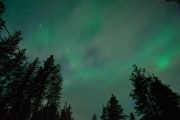 20190211-norway_aurorae81.jpg