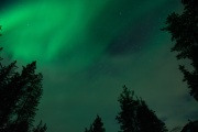 20190211-norway_aurorae83.jpg