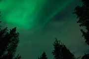 20190211-norway_aurorae84.jpg
