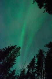 20190211-norway_aurorae89.jpg