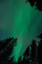 20190211-norway_aurorae91.jpg