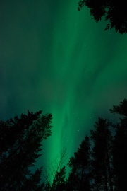 20190211-norway_aurorae92.jpg