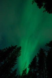 20190211-norway_aurorae93.jpg