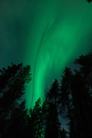 20190211-norway_aurorae94.jpg