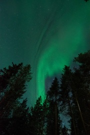 20190211-norway_aurorae97.jpg