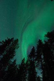 20190211-norway_aurorae98.jpg