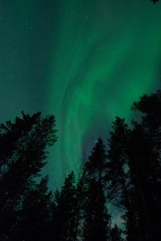 20190211-norway_aurorae99.jpg