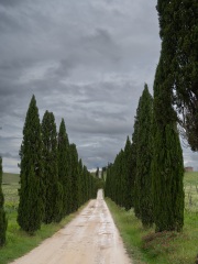 Entrance to unknown winery in Chianti region, Italy