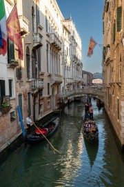 Rio del Palazzo with multiple bridges and gondoliers
San Marco district, Venice, Italy